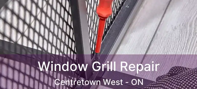  Window Grill Repair Centretown West - ON