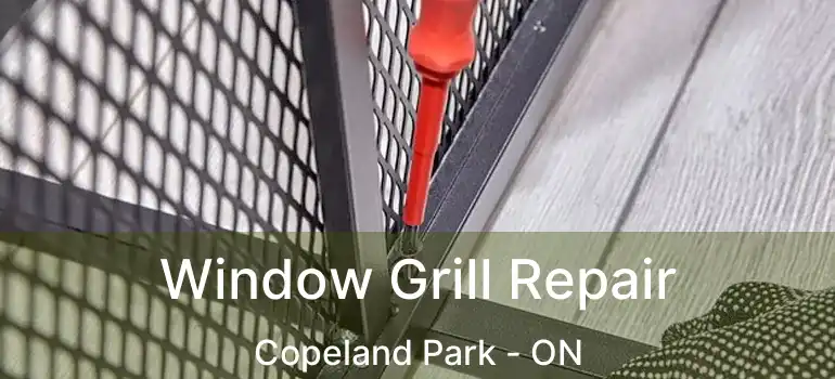  Window Grill Repair Copeland Park - ON