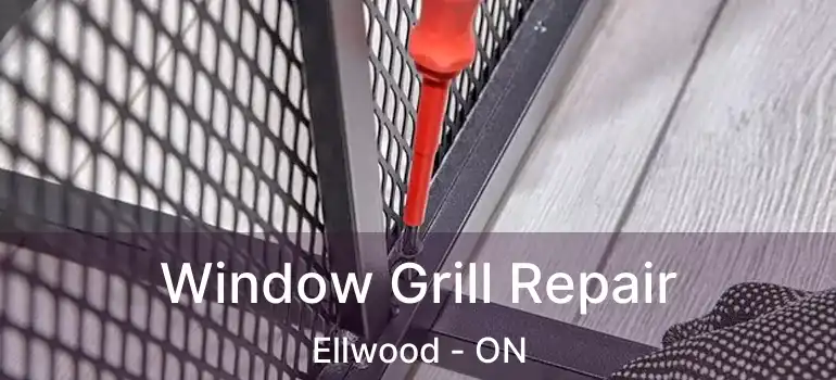  Window Grill Repair Ellwood - ON
