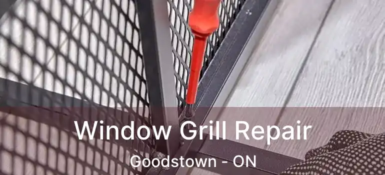  Window Grill Repair Goodstown - ON