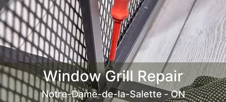  Window Grill Repair Notre-Dame-de-la-Salette - ON
