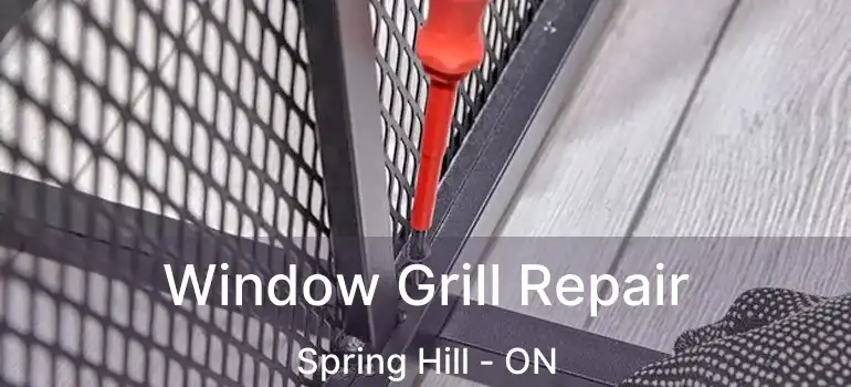  Window Grill Repair Spring Hill - ON