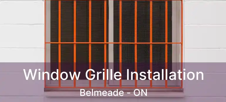  Window Grille Installation Belmeade - ON