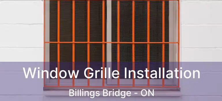 Window Grille Installation Billings Bridge - ON