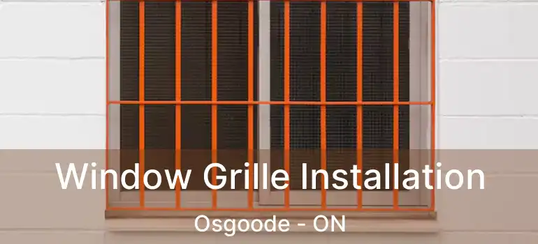  Window Grille Installation Osgoode - ON