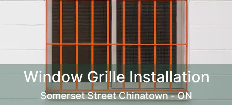  Window Grille Installation Somerset Street Chinatown - ON