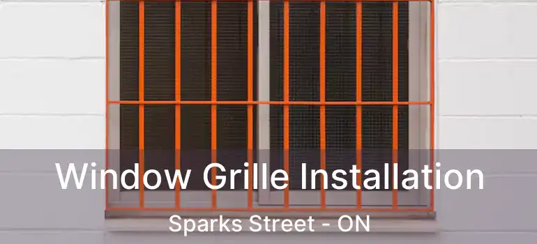  Window Grille Installation Sparks Street - ON