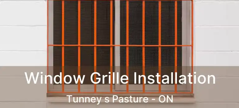  Window Grille Installation Tunney s Pasture - ON