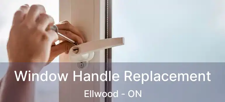  Window Handle Replacement Ellwood - ON