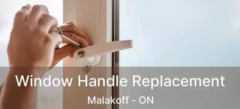 Window Handle Replacement Malakoff - ON