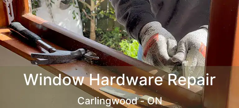  Window Hardware Repair Carlingwood - ON