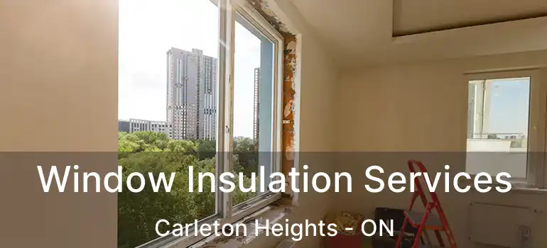 Window Insulation Services Carleton Heights - ON
