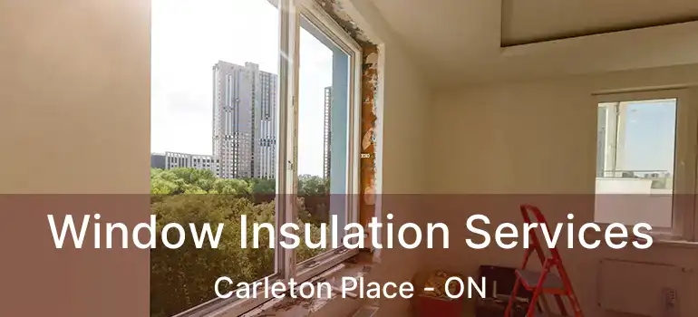 Window Insulation Services Carleton Place - ON