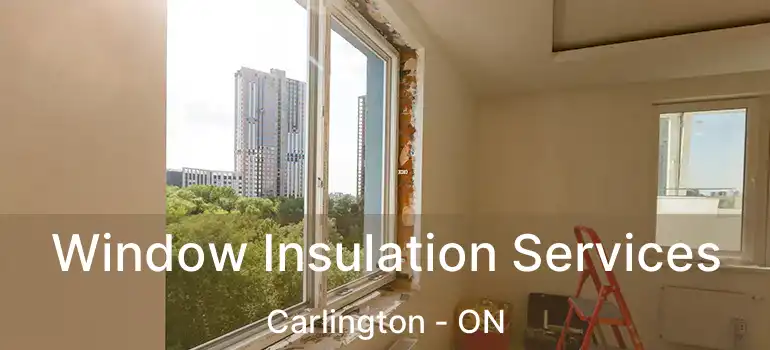 Window Insulation Services Carlington - ON
