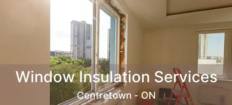 Window Insulation Services Centretown - ON