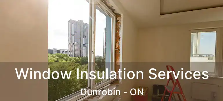 Window Insulation Services Dunrobin - ON