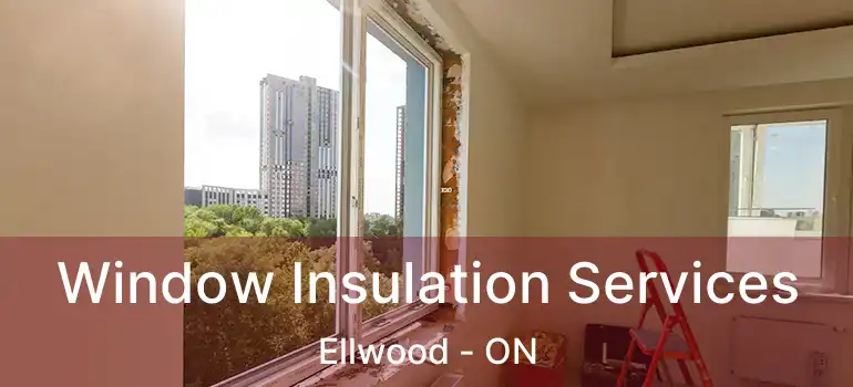 Window Insulation Services Ellwood - ON