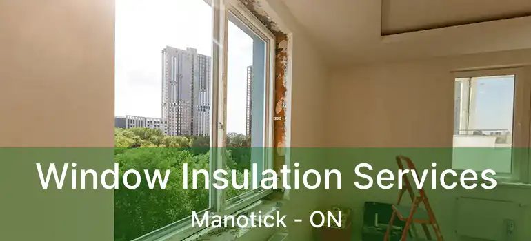 Window Insulation Services Manotick - ON