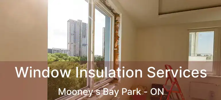 Window Insulation Services Mooney s Bay Park - ON