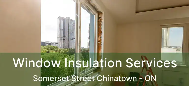 Window Insulation Services Somerset Street Chinatown - ON