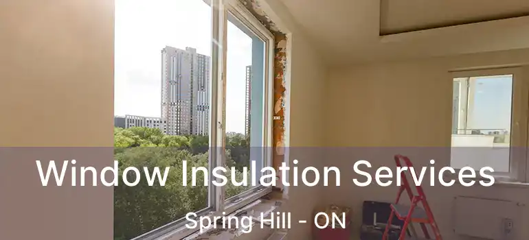 Window Insulation Services Spring Hill - ON