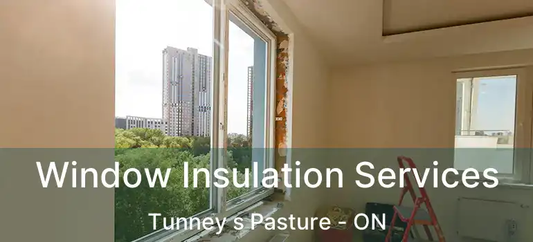 Window Insulation Services Tunney s Pasture - ON