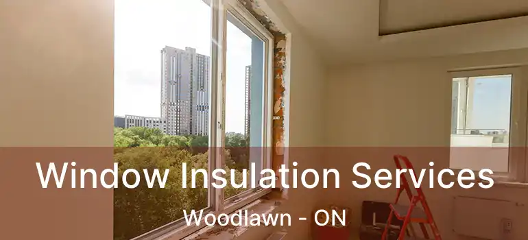 Window Insulation Services Woodlawn - ON