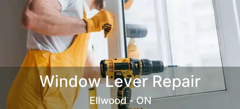 Window Lever Repair Ellwood - ON