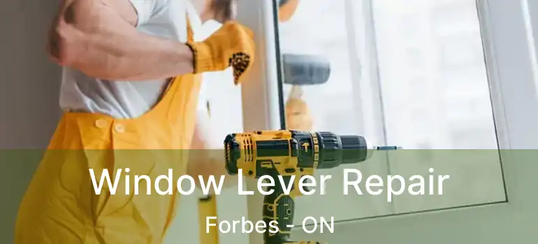 Window Lever Repair Forbes - ON