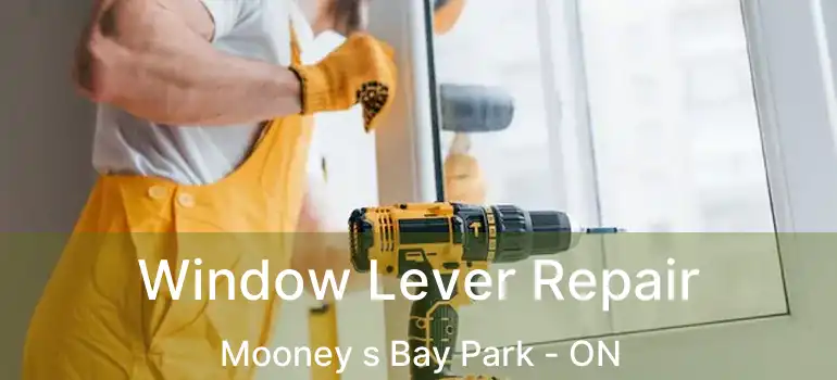  Window Lever Repair Mooney s Bay Park - ON