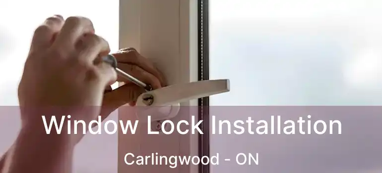  Window Lock Installation Carlingwood - ON