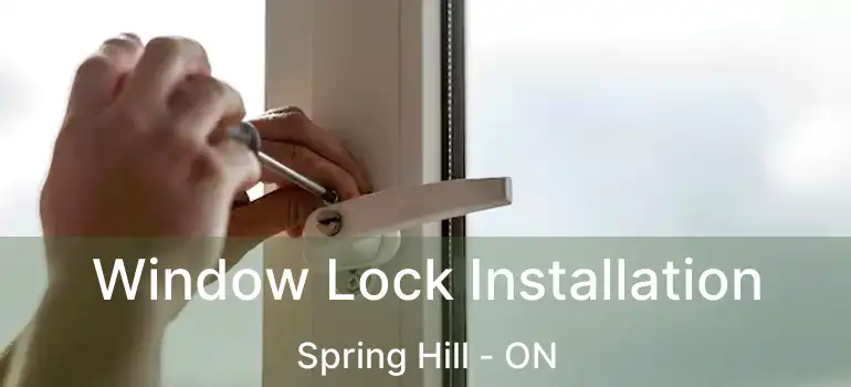 Window Lock Installation Spring Hill - ON