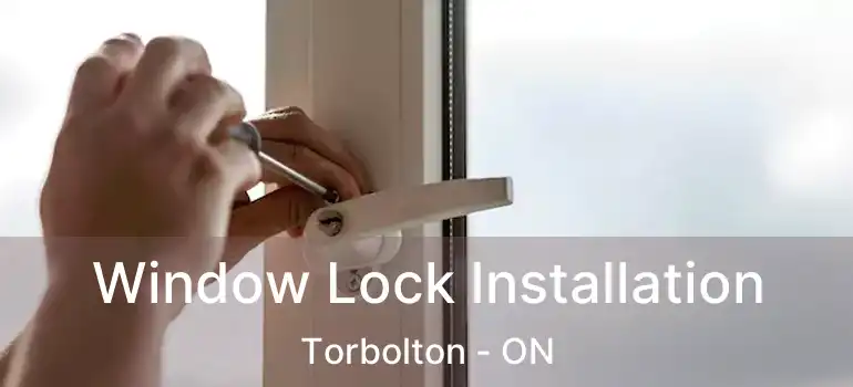  Window Lock Installation Torbolton - ON