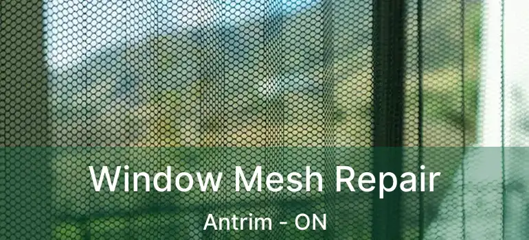  Window Mesh Repair Antrim - ON