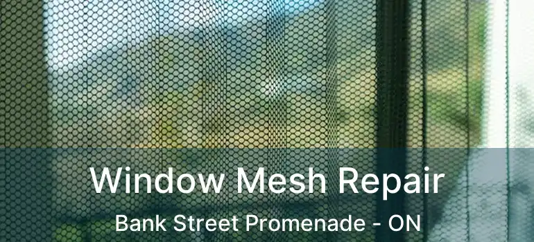  Window Mesh Repair Bank Street Promenade - ON