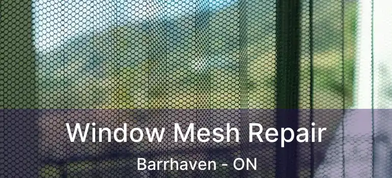  Window Mesh Repair Barrhaven - ON