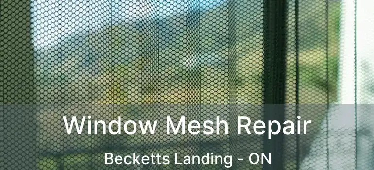 Window Mesh Repair Becketts Landing - ON