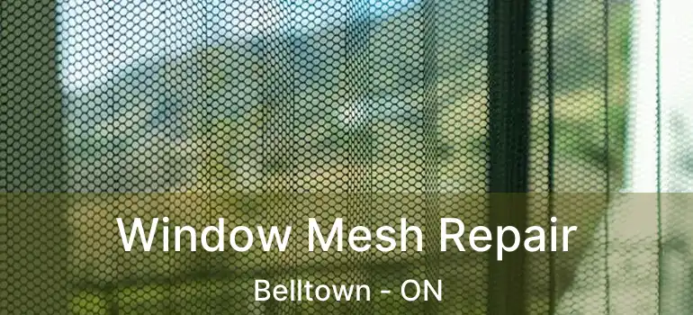  Window Mesh Repair Belltown - ON