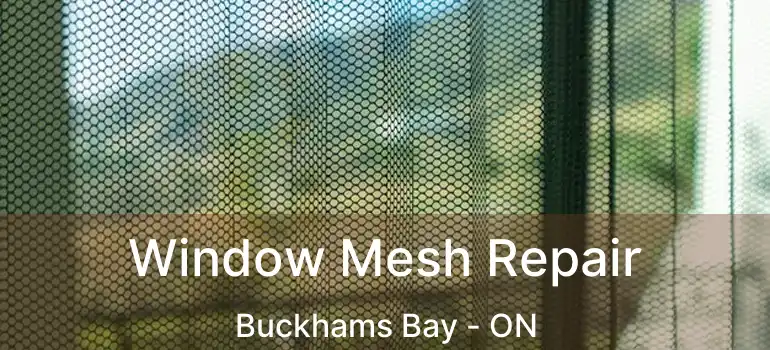  Window Mesh Repair Buckhams Bay - ON