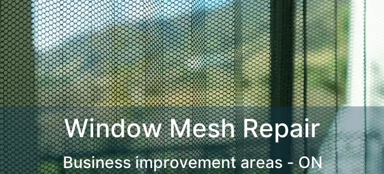  Window Mesh Repair Business improvement areas - ON