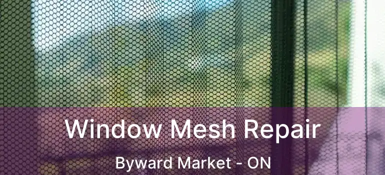 Window Mesh Repair Byward Market - ON