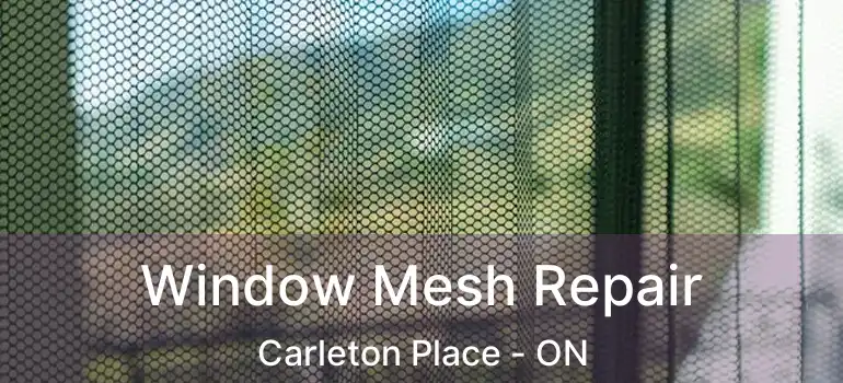  Window Mesh Repair Carleton Place - ON