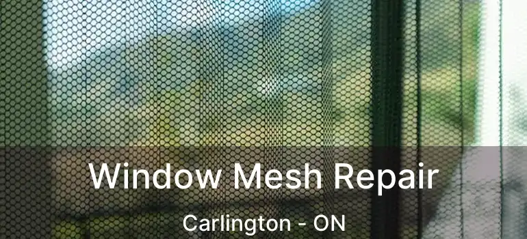  Window Mesh Repair Carlington - ON