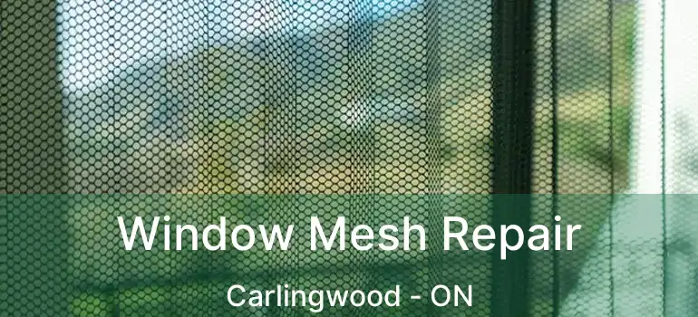  Window Mesh Repair Carlingwood - ON