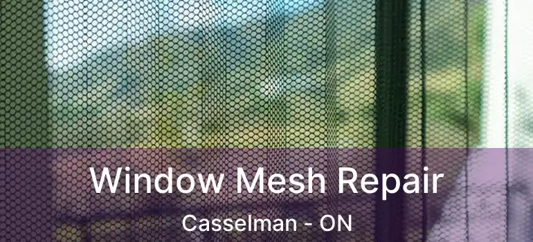  Window Mesh Repair Casselman - ON