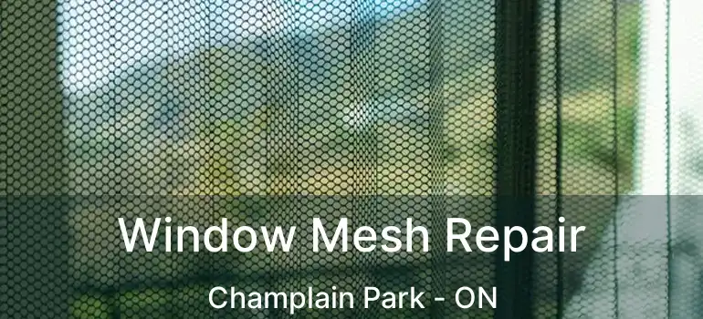  Window Mesh Repair Champlain Park - ON