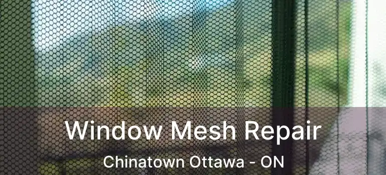 Window Mesh Repair Chinatown Ottawa - ON