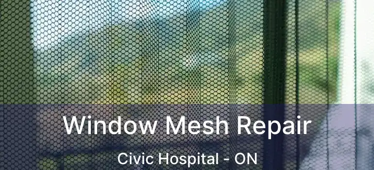  Window Mesh Repair Civic Hospital - ON