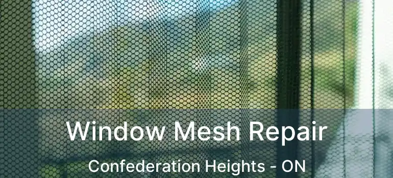  Window Mesh Repair Confederation Heights - ON