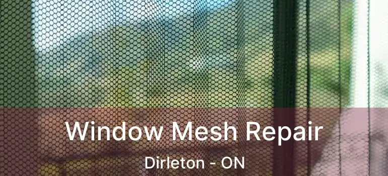 Window Mesh Repair Dirleton - ON
